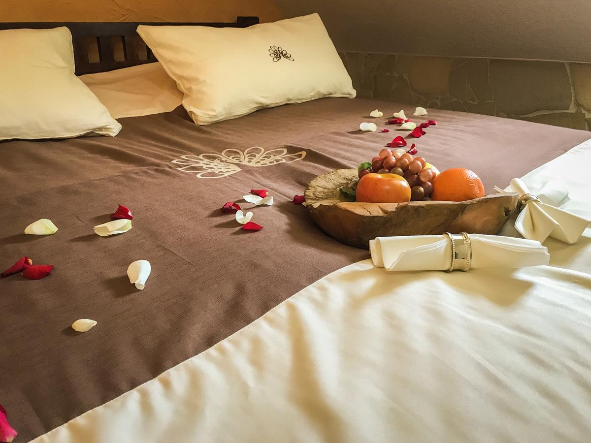 Malina Luxury Apartments And Spa Todtnau Dış mekan fotoğraf