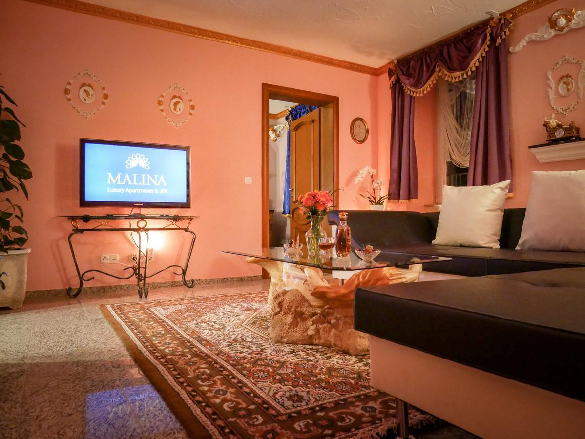 Malina Luxury Apartments And Spa Todtnau Dış mekan fotoğraf