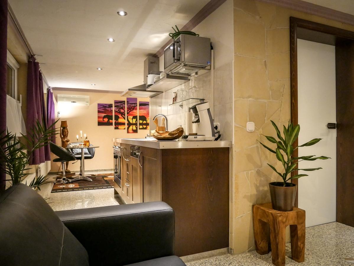 Malina Luxury Apartments And Spa Todtnau Dış mekan fotoğraf