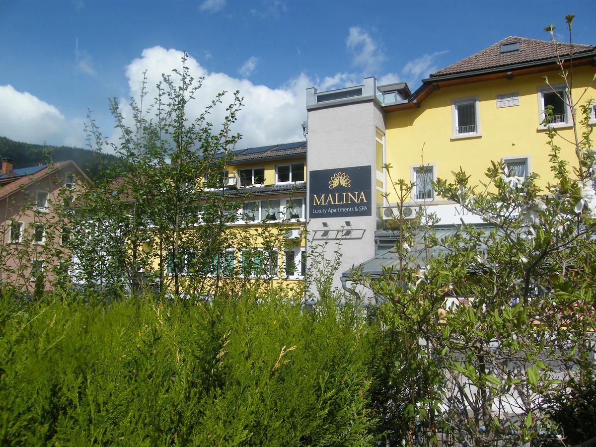 Malina Luxury Apartments And Spa Todtnau Dış mekan fotoğraf